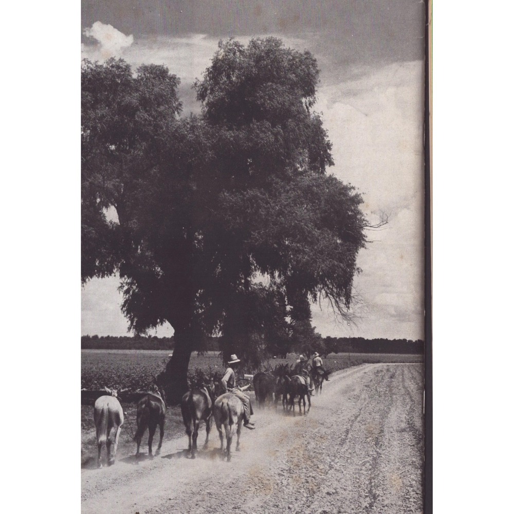 1939 Vision and Courage Build Better Livestock Bulletin National Cottonseed Assn - Picture 2 of 3